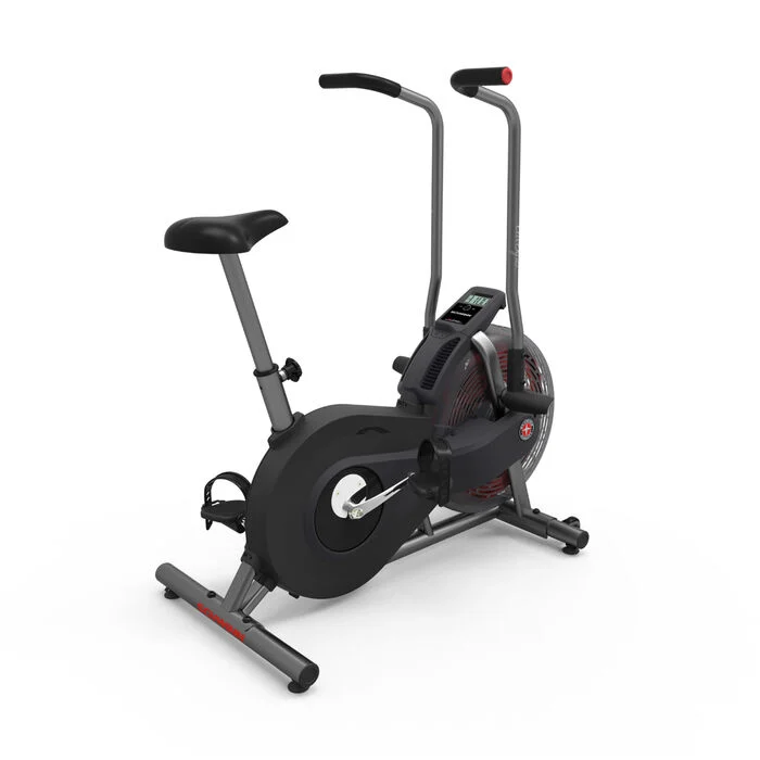 Schwinn AD2 Airdyne
