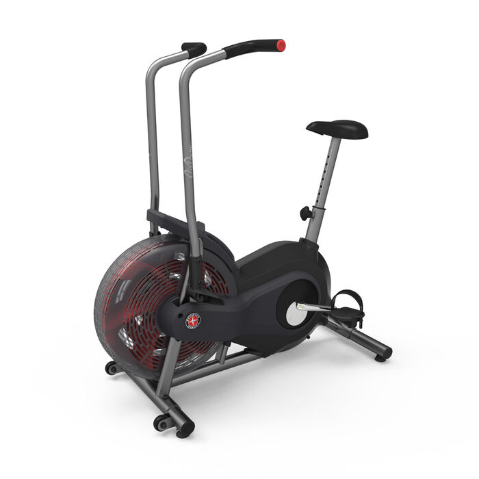 Schwinn AD2 Airdyne